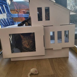 Maria added a photo of their purchase