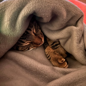 Karen added a photo of their purchase