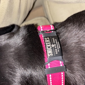 Marianne added a photo of their purchase