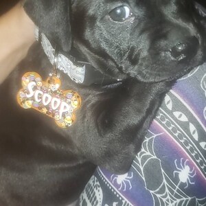 Morgan added a photo of their purchase