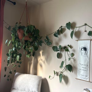 Camille added a photo of their purchase