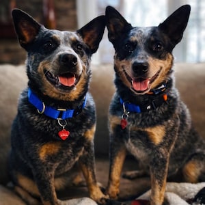 Tiffany added a photo of their purchase