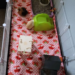 Melton added a photo of their purchase