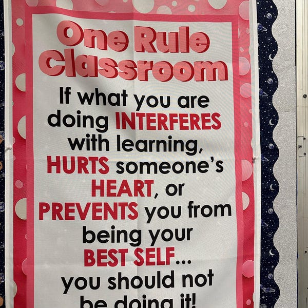 Traffic Light Transition Words Anchor Chart, Printed on FABRIC! Durable ...