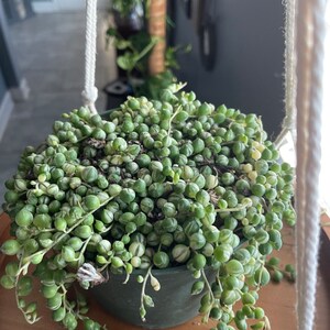 Melissa added a photo of their purchase