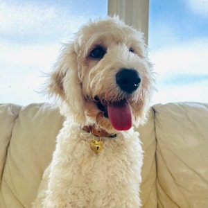 Personalized Gold Heart Padlock Dog Tag - Etsy