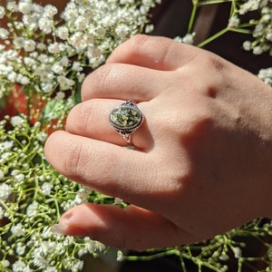 Anna added a photo of their purchase