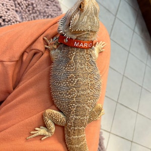 Mary added a photo of their purchase