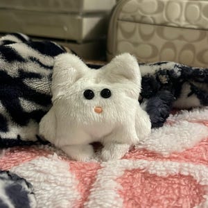 Paige added a photo of their purchase