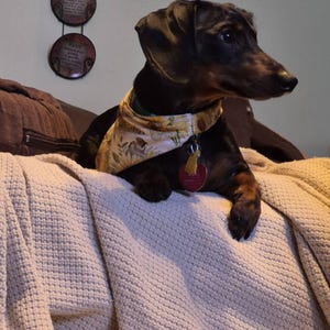 Bertha added a photo of their purchase
