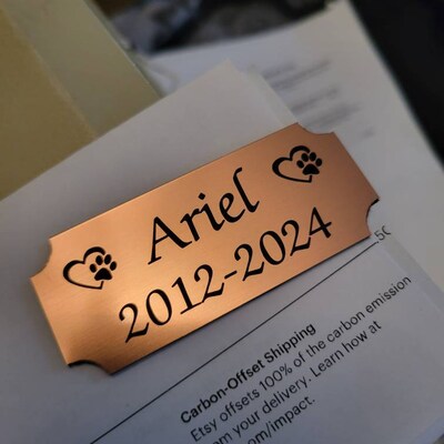 Custom Engraved 1×3 Plaque Plate – Brushed Gold, Silver, Copper, Or Bronze Finish (Personalize)