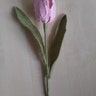 Reviewer's image