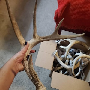 Sam ha añadido una foto de su compra
