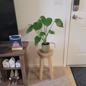 Jade added a photo of their purchase