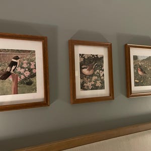 Mercy ha aggiunto una foto del proprio acquisto
