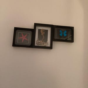 Mollie added a photo of their purchase