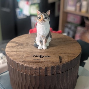 Jesse added a photo of their purchase