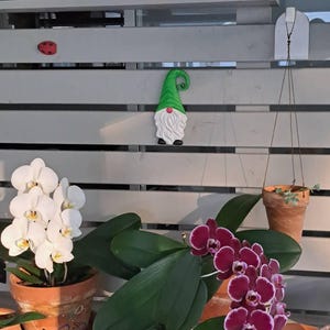 marinelender ha añadido una foto de su compra