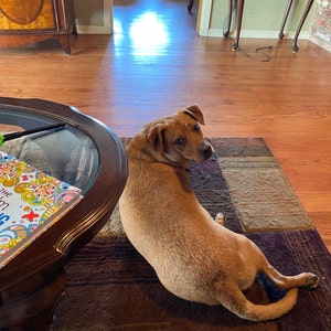 Diana adicionaram uma foto da sua compra