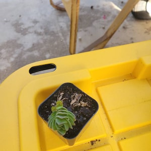 M.E. ha añadido una foto de su compra