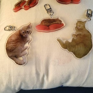 Becky added a photo of their purchase