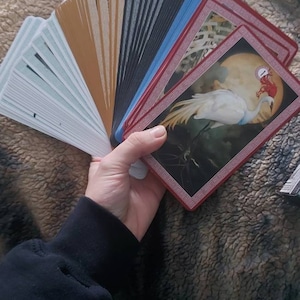 J added a photo of their purchase