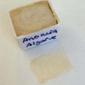 A. ha aggiunto una foto del proprio acquisto