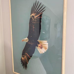 Nate ha aggiunto una foto del proprio acquisto