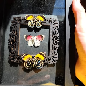 Shannon added a photo of their purchase