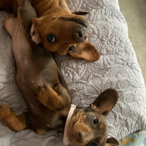 Emma a ajouté une photo de son achat