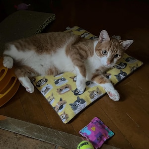 Nancy heeft een foto van de aankoop toegevoegd