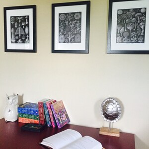 April added a photo of their purchase