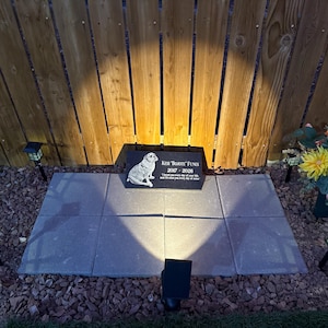 Sarah added a photo of their purchase