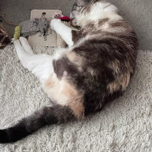 Julie added a photo of their purchase