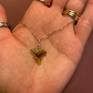 Felicia added a photo of their purchase
