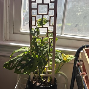 rivka added a photo of their purchase