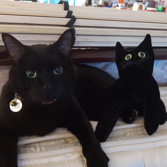 Collectible Velvet Cats take every pose of a real by TheVelvetCat