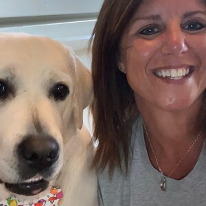 4th of july dog bow tie