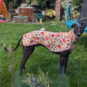 Tracey added a photo of their purchase