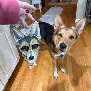 Carly added a photo of their purchase