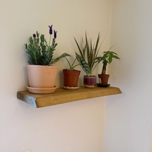 Beatriz さんが購入した商品の写真を追加しました