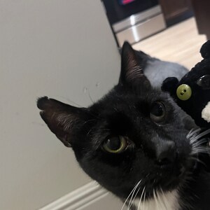 Maddie added a photo of their purchase