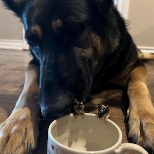 Jason added a photo of their purchase