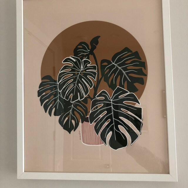 Monstera - Etsy