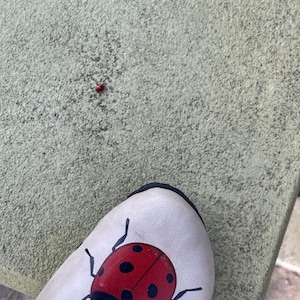 Demi added a photo of their purchase