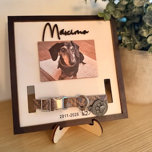Acquirente Etsy ha aggiunto una foto del proprio acquisto