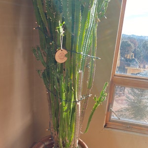 Hebrew YHWH Custom Engraved Oak Sign - Etsy