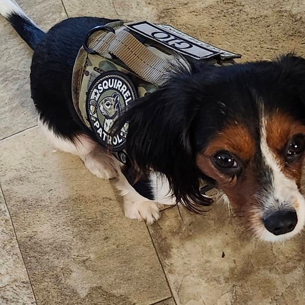 Patch Superbad Film Patch Morale "McLovin" Da Superbad - Divertente, Per Tattica Militare, Esercito USA, Originale Patch Tattica Film Superbad - Foto 10