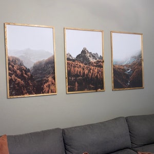 Daniela added a photo of their purchase