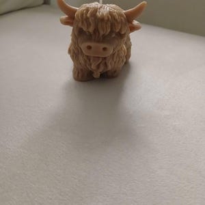 Tonya added a photo of their purchase